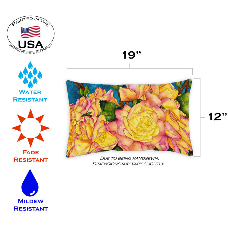 Toland Home Garden Indoor/Outdoor Pillow Cover Wayfair